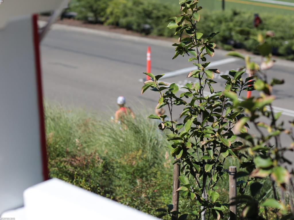 ចំណុចសំខាន់ៗនៃការអបអរសាទរ