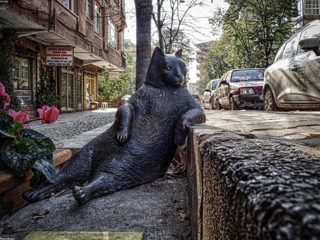 អត្ថប្រយោជន៍សម្រាប់អ្នកថ្មីក្នុងការអភិវឌ្ឍផ្ទាល់ខ្លួន