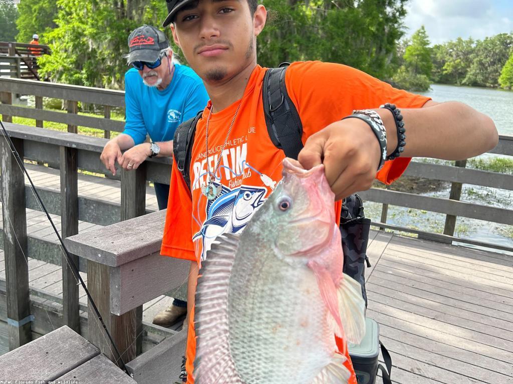 អត្ថប្រយោជន៍សម្រាប់អ្នកថ្មីក្នុងសហគមន៍