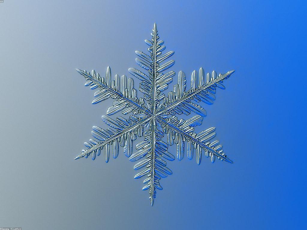 αααα·αα’αααααααααΆαααααααα·ααα